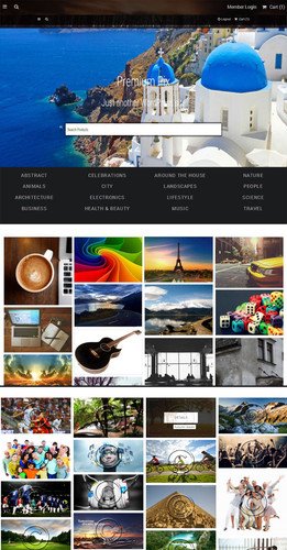 Digital Agency Websites Design for Sale with Free VPS Web Hosting